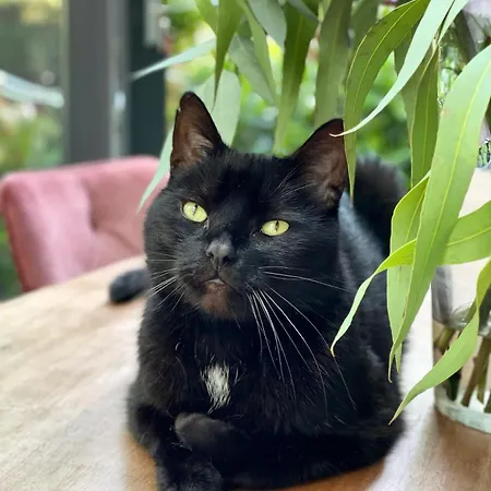 게스트하우스 Barangay 4*