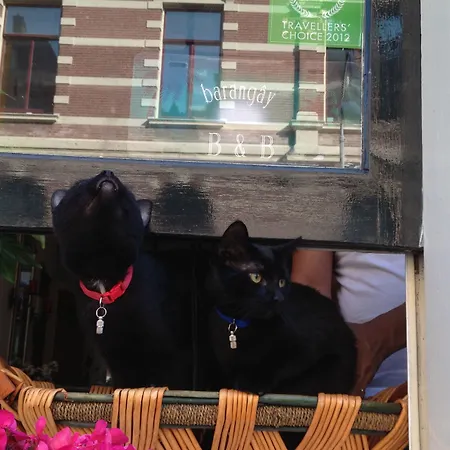 Barangay 게스트하우스