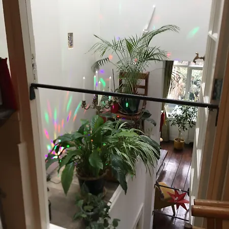 Barangay Πανσιόν