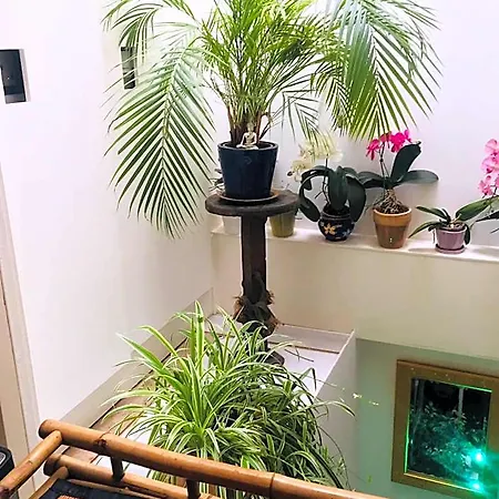 Guest house Barangay Amsterdam