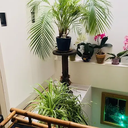 Barangay 게스트하우스 4*