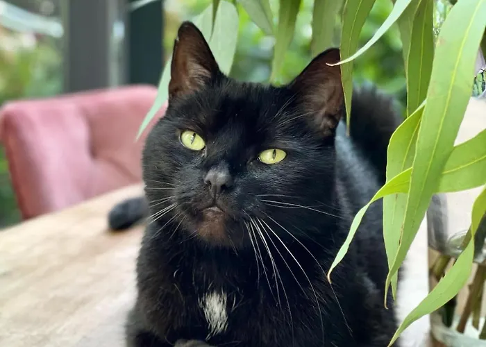 Guest house Barangay 4*