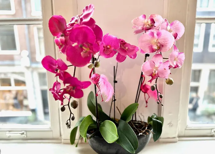 Barangay Guest house Amsterdam