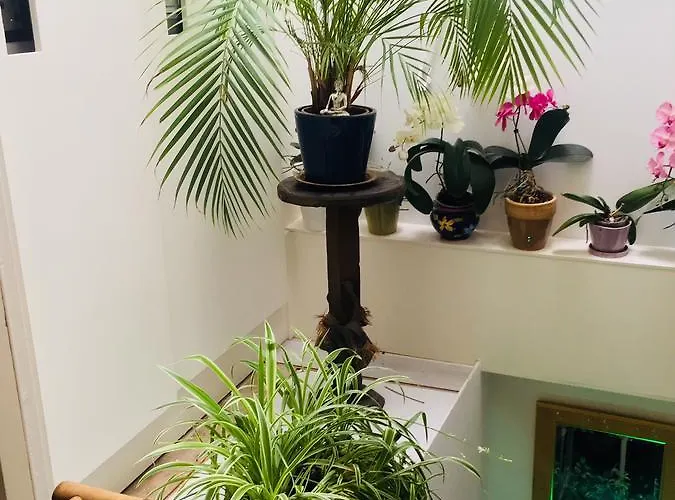 Barangay Gæstehus 4*